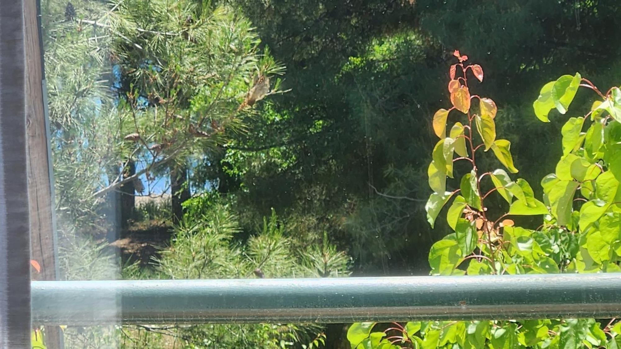 Pine Beach Holiday Home 2 Bedrooms 50 Meters To The Beach Kalyves Polygyrou Bagian luar foto